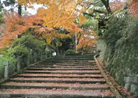 水間寺の写真・動画_image_18291