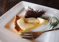 藪椿の写真・動画_image_18479