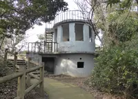 猿島の写真・動画_image_18863