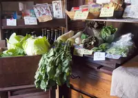 NINOKURAの写真・動画_image_19042