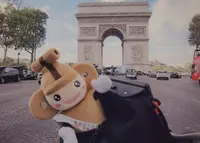 本庄市立歴史民俗資料館の写真・動画_image_19052