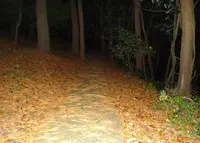 東尋坊の写真・動画_image_19210