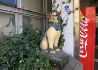 平尾の写真・動画_image_19341