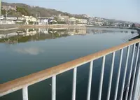売布神社の写真・動画_image_19878