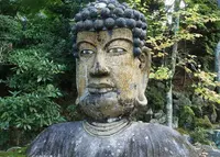 福泉寺の写真・動画_image_20540