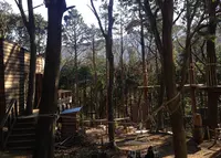 フォレストアドベンチャー・箱根の写真・動画_image_21163