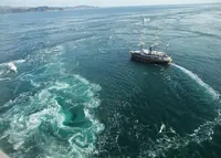 渦の道の写真・動画_image_21316