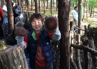 中尾さんちの原木椎茸ホダ場の写真・動画_image_21612