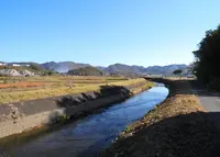 ひたすら歩きますの写真・動画_image_21710