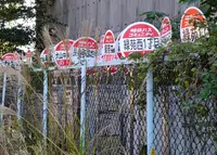 ひたすら歩きますの写真・動画_image_21717