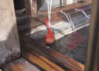 つぼ湯の写真・動画_image_21746