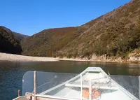 和舟の「瀞峡めぐり」の写真・動画_image_21760