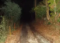 八王子城跡の写真・動画_image_22847