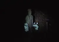 八王子城跡の写真・動画_image_22857
