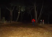 道了堂跡の写真・動画_image_22876