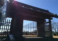 石橋記念公園の写真・動画_image_22942