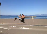 さくらじま白浜温泉センターの写真・動画_image_22986