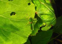 恐山の写真・動画_image_23224