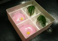 芳光の写真・動画_image_23881