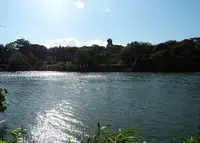聚楽園公園の写真・動画_image_24978