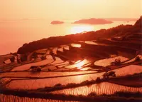 土谷棚田の写真・動画_image_25073
