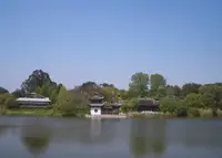 花博記念公園鶴見緑地の写真・動画_image_25240