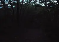 涅槃仏の写真・動画_image_25382