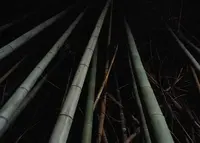 不知森神社の写真・動画_image_25591