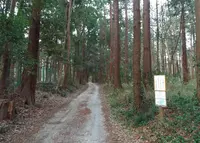 千葉県立船橋県民の森の写真・動画_image_25608