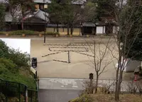 高台寺の写真・動画_image_26344