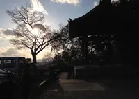 高台寺の写真・動画_image_26349