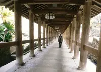 長谷寺の写真・動画_image_26384
