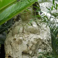 極楽寺の写真・動画_image_26530