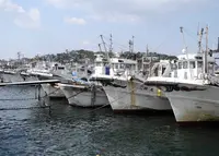 篠島高速船乗り場の写真・動画_image_26583