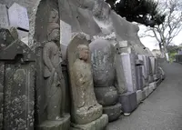 弘法様も巡りますの写真・動画_image_26589