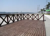 西之端の岬にはの写真・動画_image_26607