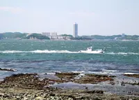 西之端の岬にはの写真・動画_image_26609