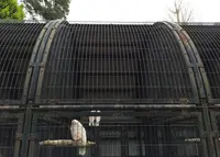 大宮公園の写真・動画_image_26986