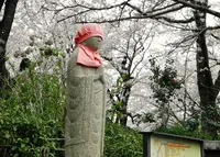 明台寺の写真・動画_image_27053