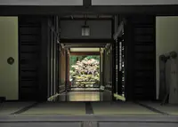長谷寺の写真・動画_image_27263