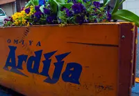 高鼻町１丁目の写真・動画_image_27446