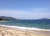 智恵の輪の写真・動画_image_27519