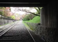 蹴上インクラインの写真・動画_image_27751