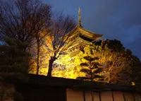 東寺（教王護国寺）の写真・動画_image_28109