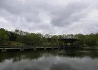 日本庭園 万博公園の写真・動画_image_28279