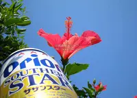 渡嘉敷島の写真・動画_image_28449
