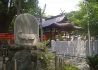 信太森葛葉稲荷神社の写真・動画_image_28602