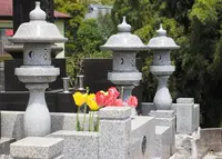曹洞宗 萬年山 泉蔵寺の写真・動画_image_28647