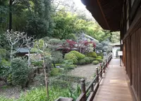 茂林寺の写真・動画_image_28889