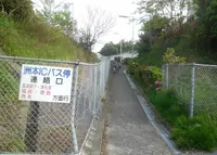 先山（愛称：淡路富士）の写真・動画_image_29047